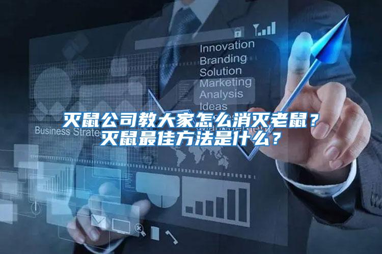 滅鼠公司教大家怎么消滅老鼠?滅鼠最佳方法是什么?