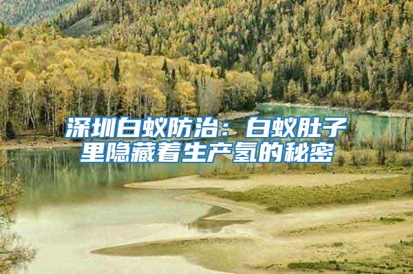 深圳白蟻防治:白蟻肚子里隱藏著生產(chǎn)氫的秘密