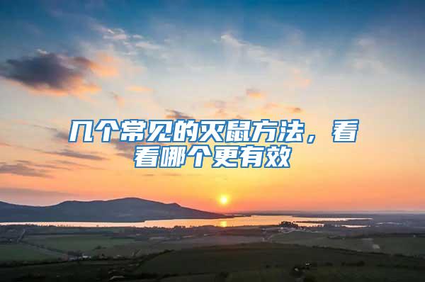 幾個常見的滅鼠方法,看看哪個更有效
