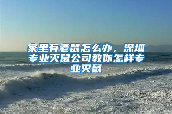 家里有老鼠怎么辦,深圳專業滅鼠公司教你怎樣專業滅鼠