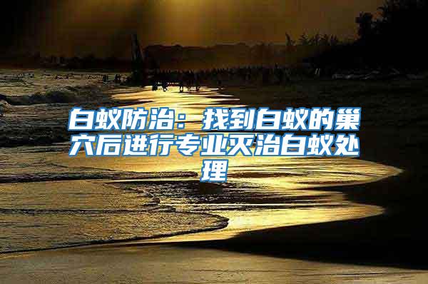 白蟻防治:找到白蟻的巢穴后進(jìn)行專(zhuān)業(yè)滅治白蟻處理