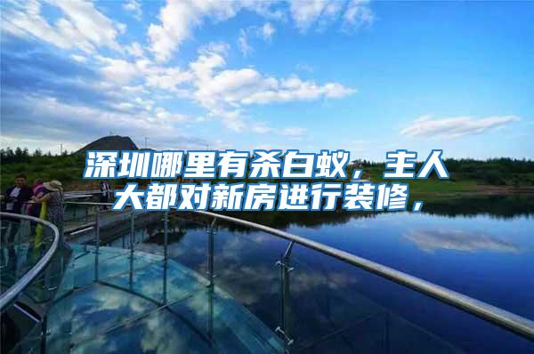 深圳哪里有殺白蟻,主人大都對新房進行裝修,