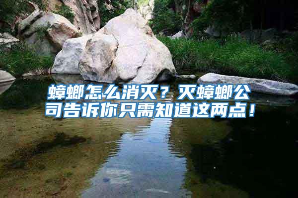 蟑螂怎么消滅?滅蟑螂公司告訴你只需知道這兩點!