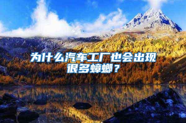 為什么汽車工廠也會出現很多蟑螂?