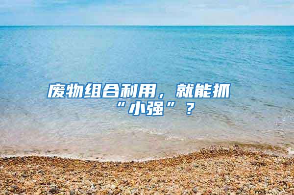 廢物組合利用,就能抓“小強(qiáng)”?