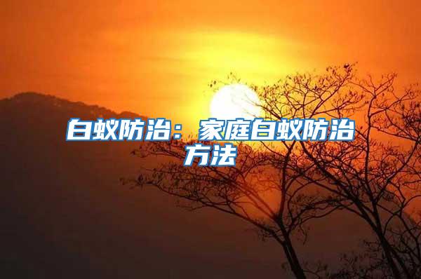 白蟻防治:家庭白蟻防治方法