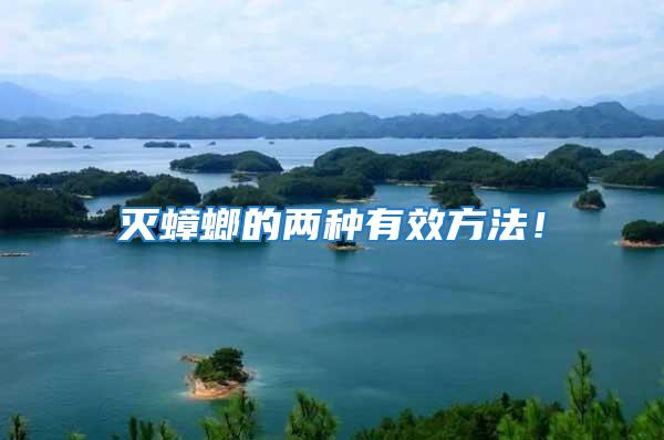 滅蟑螂的兩種有效方法!