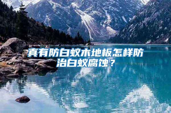 真有防白蟻木地板怎樣防治白蟻腐蝕?