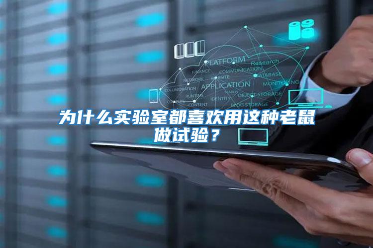 為什么實驗室都喜歡用這種老鼠做試驗?
