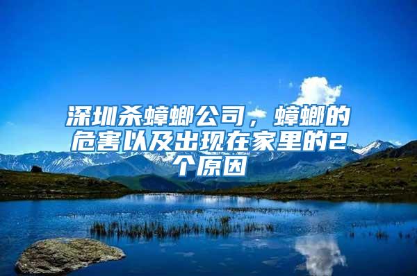 深圳殺蟑螂公司，蟑螂的危害以及出現在家里的2個原因