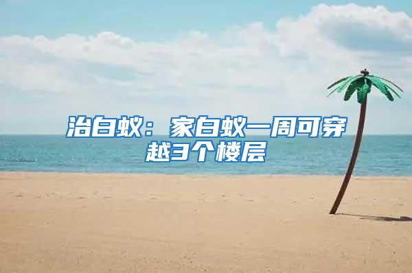 治白蟻:家白蟻一周可穿越3個(gè)樓層