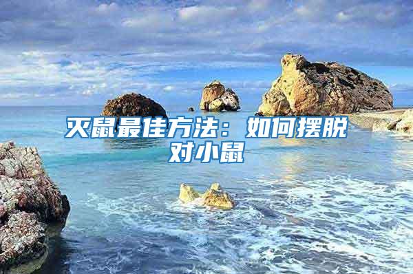 滅鼠最佳方法:如何擺脫對小鼠