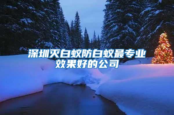 深圳滅白蟻防白蟻?zhàn)顚I(yè)效果好的公司