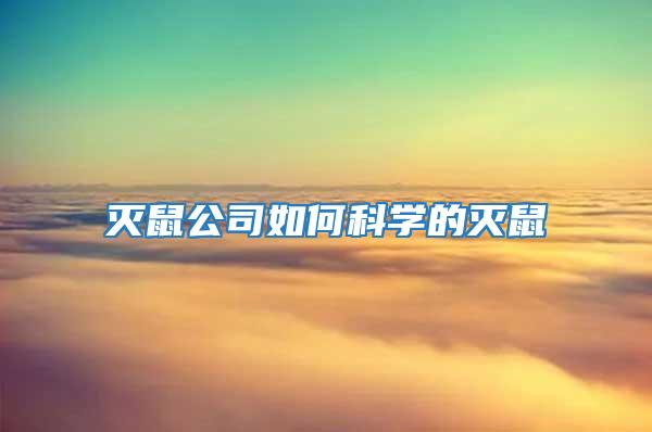 滅鼠公司如何科學(xué)的滅鼠