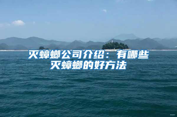 滅蟑螂公司介紹:有哪些滅蟑螂的好方法