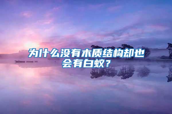 為什么沒有木質結構卻也會有白蟻?