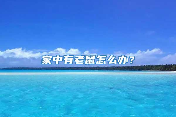 家中有老鼠怎么辦?