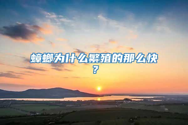 蟑螂為什么繁殖的那么快?