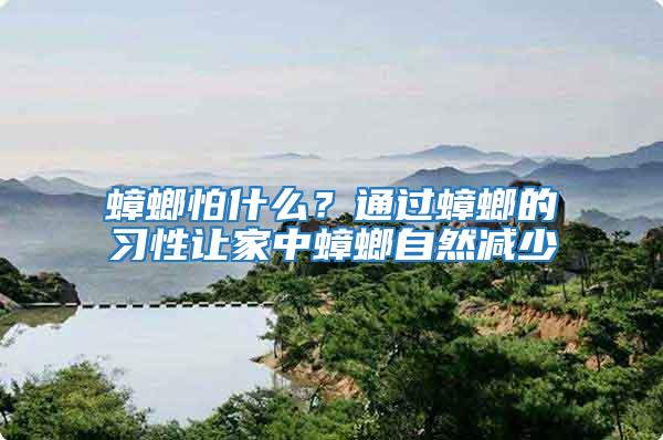 蟑螂怕什么?通過蟑螂的習(xí)性讓家中蟑螂自然減少
