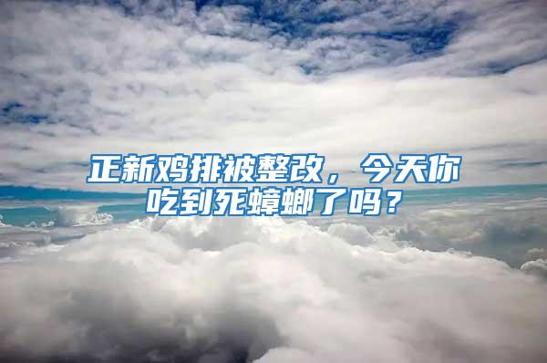 正新雞排被整改，今天你吃到死蟑螂了嗎？