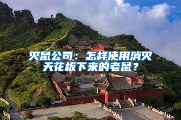 滅鼠公司:怎樣使用消滅天花板下來(lái)的老鼠?