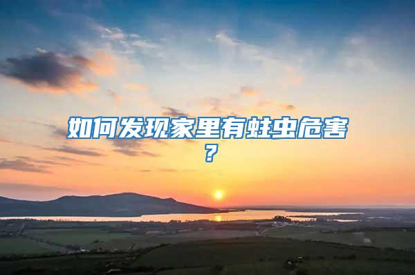 如何發現家里有蛀蟲危害?