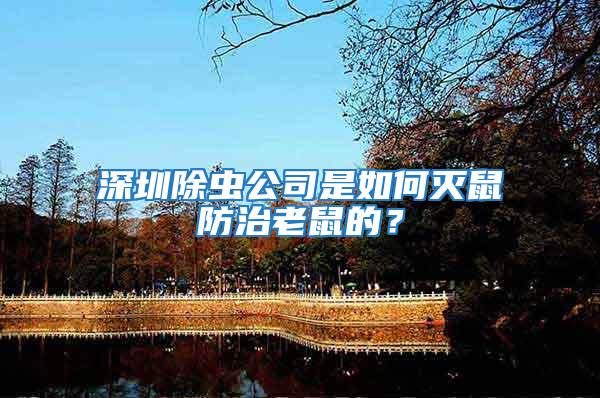 深圳除蟲公司是如何滅鼠防治老鼠的？