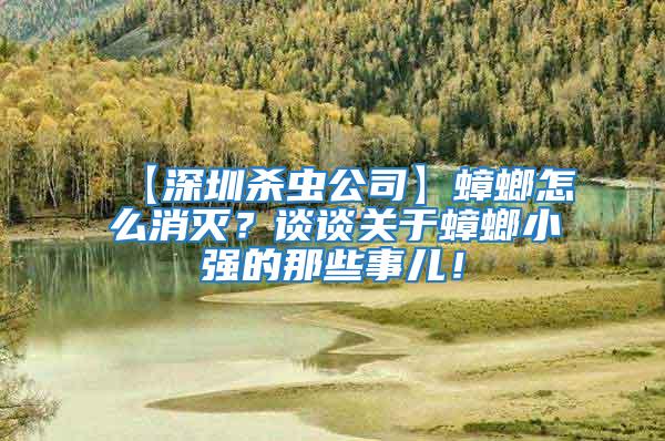 【深圳殺蟲公司】蟑螂怎么消滅?談談關于蟑螂小強的那些事兒!