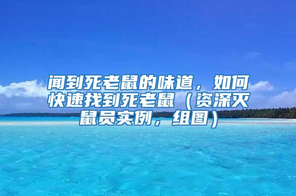 聞到死老鼠的味道,如何快速找到死老鼠(資深滅鼠員實例,組圖)