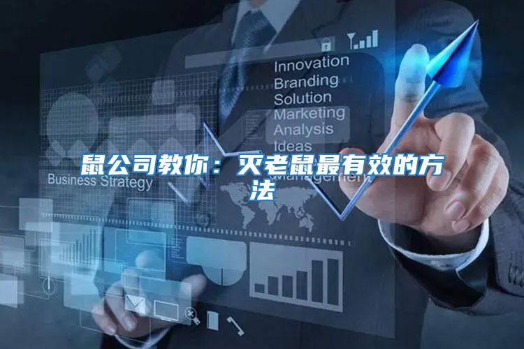 鼠公司教你:滅老鼠最有效的方法