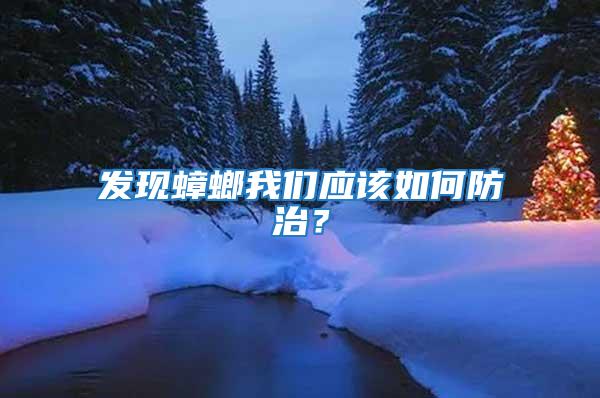 發現蟑螂我們應該如何防治?