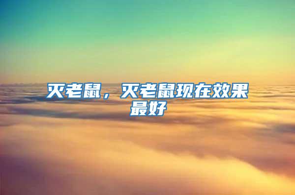 滅老鼠,滅老鼠現(xiàn)在效果最好