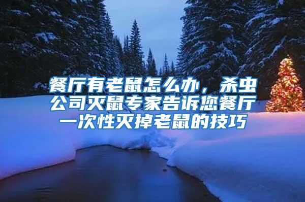 餐廳有老鼠怎么辦,殺蟲公司滅鼠專家告訴您餐廳一次性滅掉老鼠的技巧