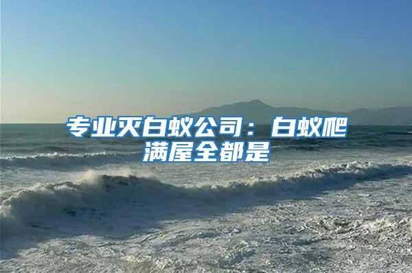 專業滅白蟻公司:白蟻爬滿屋全都是