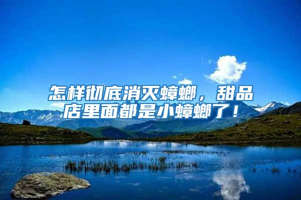 怎樣徹底消滅蟑螂,甜品店里面都是小蟑螂了!