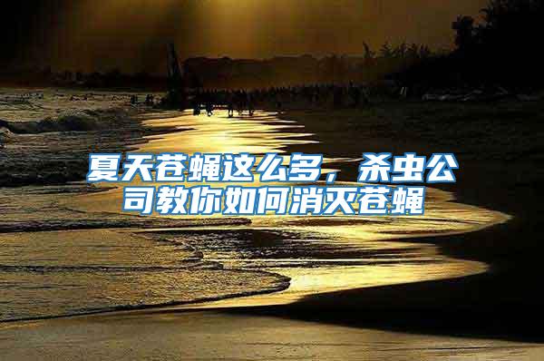 夏天蒼蠅這么多,殺蟲公司教你如何消滅蒼蠅