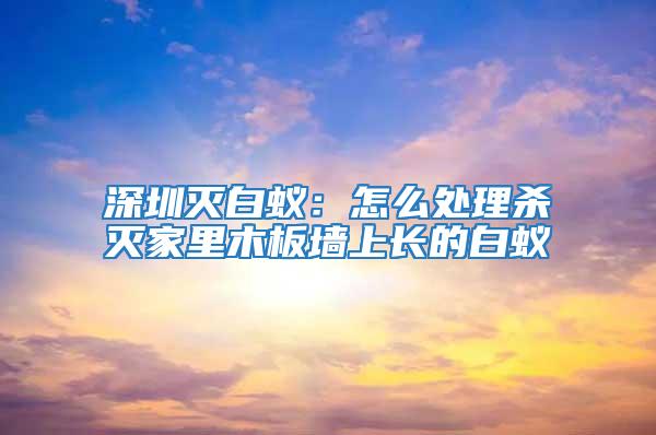 深圳滅白蟻:怎么處理殺滅家里木板墻上長(zhǎng)的白蟻