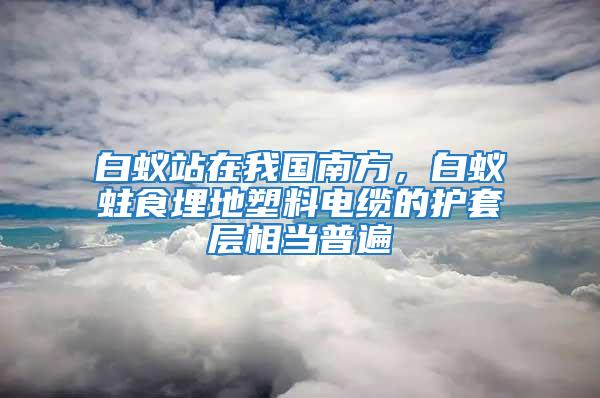 白蟻站在我國南方,白蟻蛀食埋地塑料電纜的護套層相當普遍