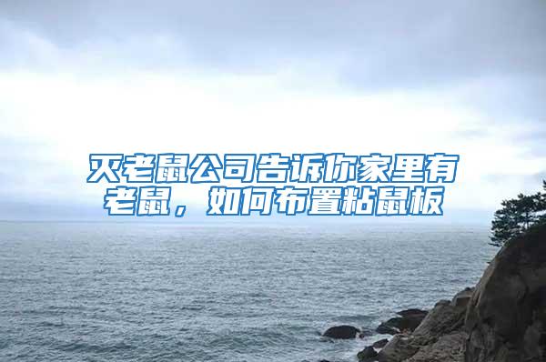 滅老鼠公司告訴你家里有老鼠,如何布置粘鼠板