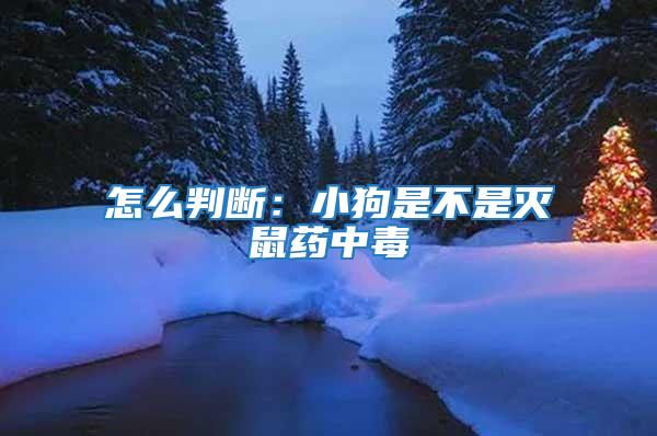 怎么判斷:小狗是不是滅鼠藥中毒