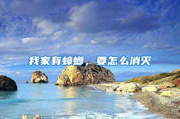 我家有蟑螂,要怎么消滅