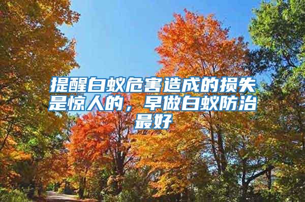提醒白蟻危害造成的損失是驚人的,早做白蟻防治最好