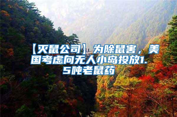 【滅鼠公司】為除鼠害,美國考慮向無人小島投放1.5噸老鼠藥