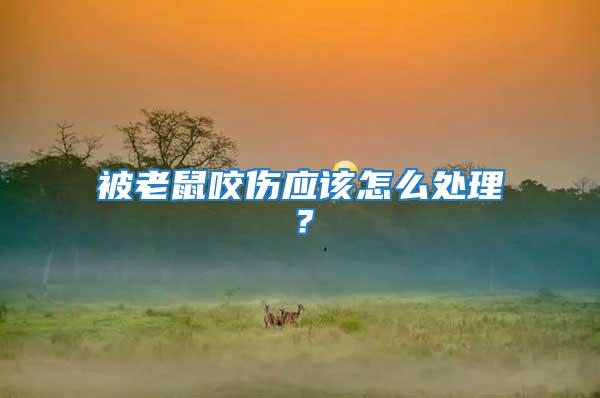 被老鼠咬傷應(yīng)該怎么處理?