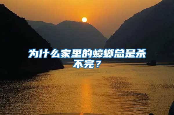 為什么家里的蟑螂總是殺不完?