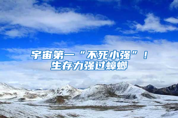 宇宙第一“不死小強”!生存力強過蟑螂