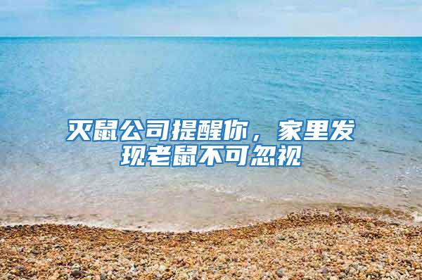 滅鼠公司提醒你，家里發現老鼠不可忽視