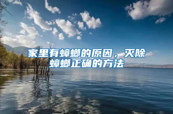 家里有蟑螂的原因,滅除蟑螂正確的方法