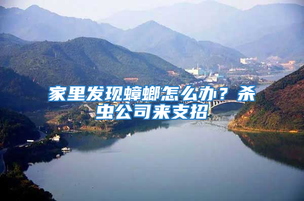 家里發現蟑螂怎么辦？殺蟲公司來支招