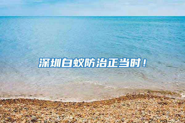 深圳白蟻防治正當時!
